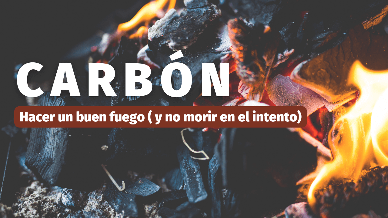 Qué diferencias hay entre el carbón vegetal y las briquetas - Combustibles  Aragón