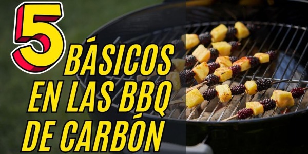 5 artículos básicos para comenzar a cocinar con tu barbacoa de carbón - BBQOA